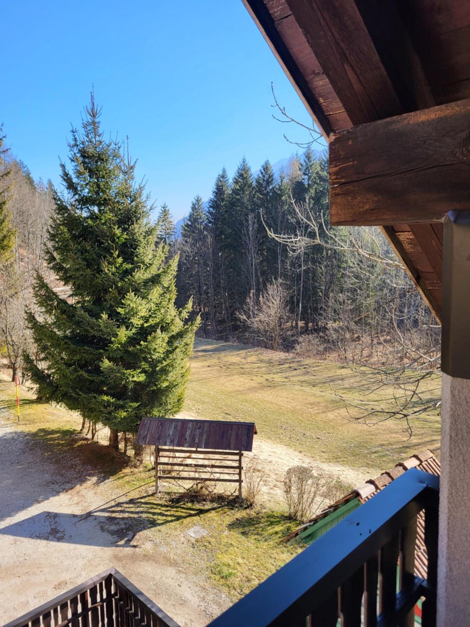 Apartment Dobnikar Kranjska Gora Εξωτερικό φωτογραφία