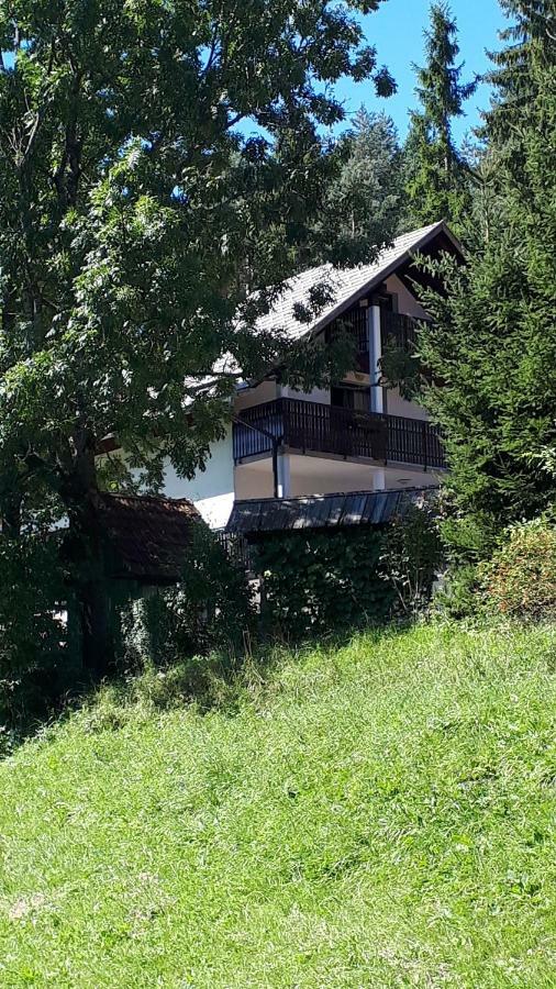 Apartment Dobnikar Kranjska Gora Εξωτερικό φωτογραφία
